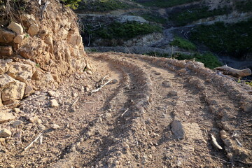 森林工事で造られた重機用の道