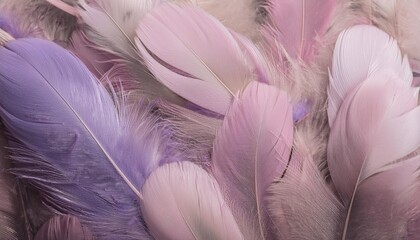 Fototapeta premium Horizontal background with fluffy pastel feathers of light pink and blue colors. It can be used as a vertical one 