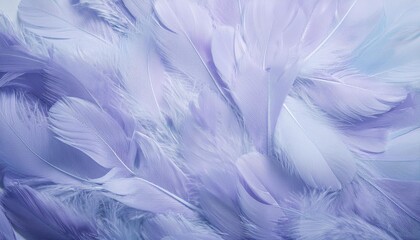 Fototapeta premium Horizontal background with fluffy pastel feathers of light violet colors. It can be used as a vertical one