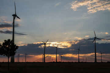 Dramatischer Sonnenuntergang - Silhouette des Windparks