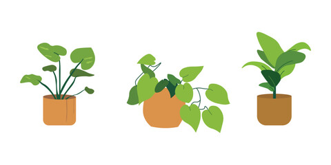 House Plant Vector Illustrations for Modern Interiors.  Collection of decorative green houseplants in pots.