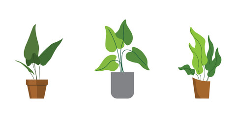 House Plant Vector Illustrations for Modern Interiors.  Collection of decorative green houseplants in pots.