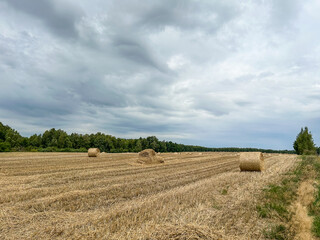 Fototapeta premium Countryside view