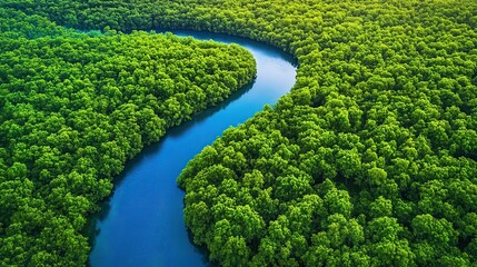 Aerial view of a river winding through a lush green forest.