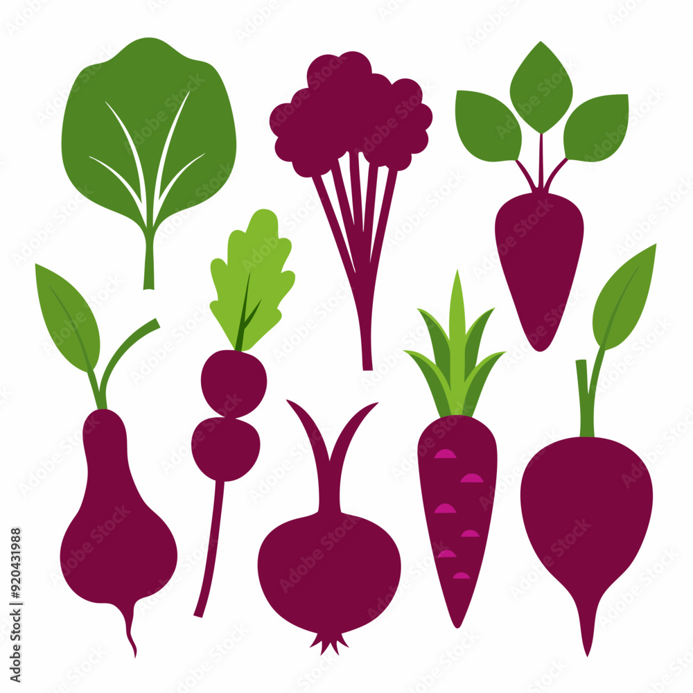 Poster full set beetroot carrot beets turnip corn vector illustration