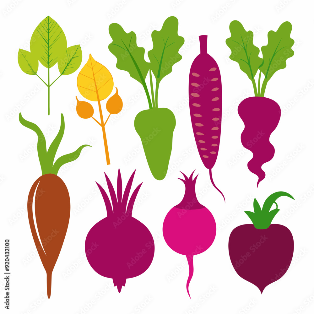 Canvas Prints full set beetroot carrot beets turnip corn vector illustration