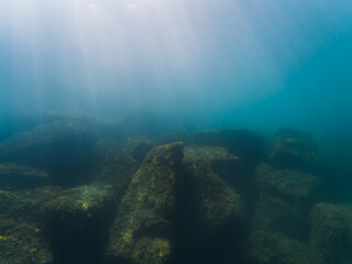 Underwater landscape in the Mediterranean Sea off the coast of Nice in France, seabed and rocks.