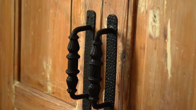 Antique metal door handle.
Wooden maiden and rare pen