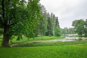 Gentle ripples disturb the calm water as tall trees surround a vibrant green landscape, enhancing the serene atmosphere of this tranquil natural setting.