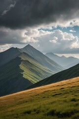 Fototapeta premium a grassy field 