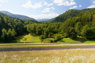 Fôret dans les vosges