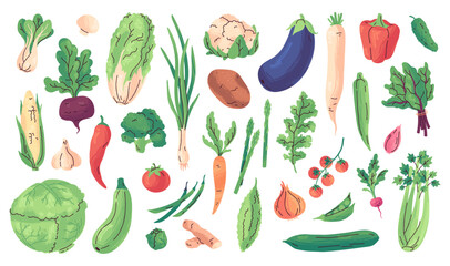 Hand drawn fresh vegetables, organic farmer harvest. Cartoon isolated vegetable doodles, healthy vegan cooking ingredients, green vegetables and salads, delicious vitamin rich food products vector set