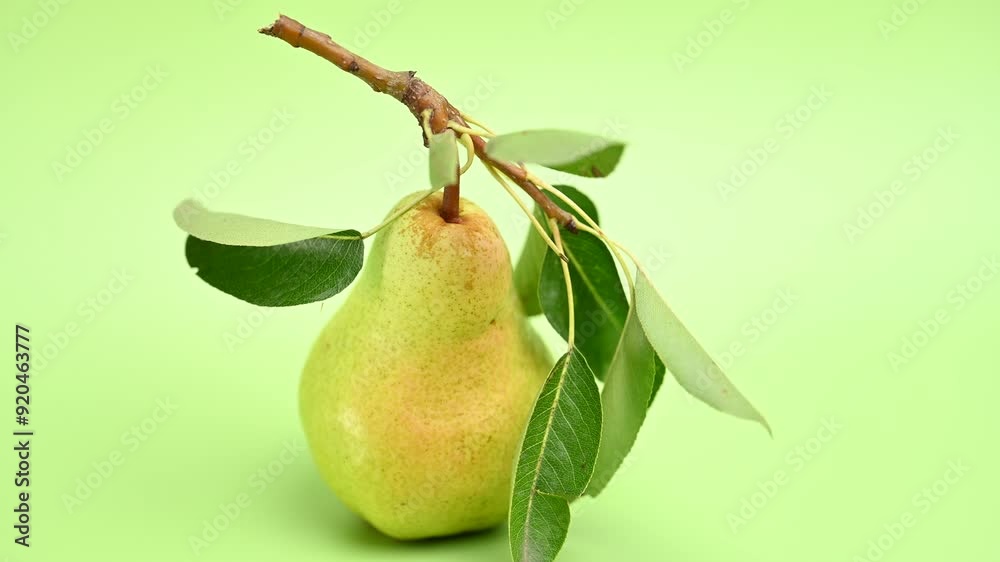 Poster green pear