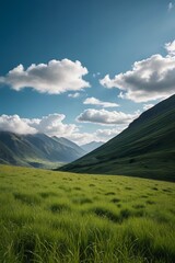 Fototapeta premium a grassy field 