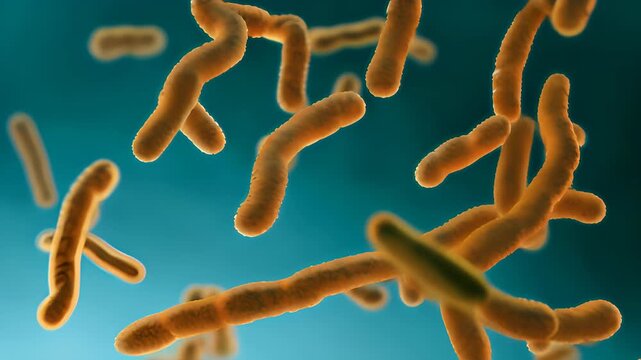 video of magnified bacteria floating in blue liquid medium, showcasing their rod-like structure, concept of microbiological studies and bacterial morphology