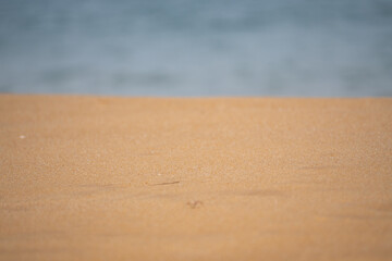 sand with blurred ocean water wave tropical beach bokeh background, summer vacation and travel concept with copy space.