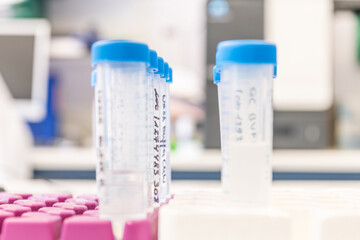 Plastic rack with plastic test tubes of 50 milliliter, 50 ml. Selective focus. Laboratory background. Copy space available. Background for science, science education poster, publicity.