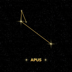 Constellation Apus banner. Flat style. Vector illustration.