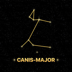 Constellation Canis-major banner. Flat style. Vector illustration.
