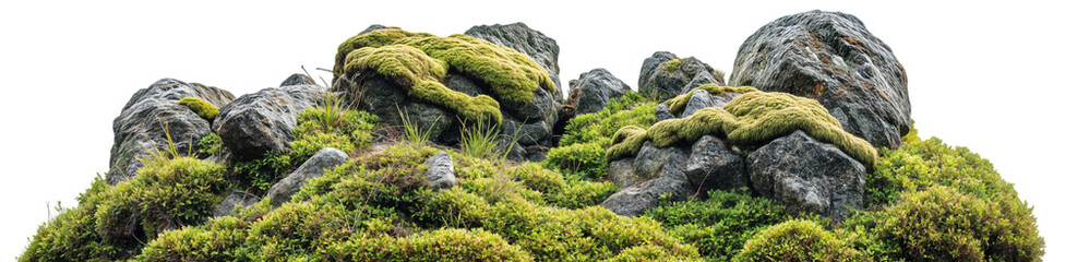 Lush Alpine Rockery with Moss-Covered Stones and Dense Greenery, Isolated on Transparent Background