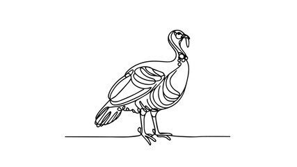 turkey bird one line drawing vector