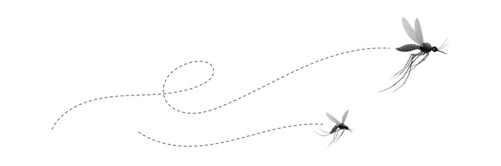 flying mosquitoes and their flight paths