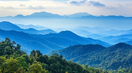 Fototapeta premium A panoramic view of a lush green forest and distant blue mountains, bathed in the warm glow of the setting sun.