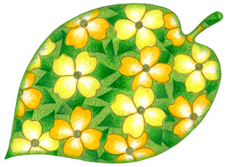 色鉛筆画・植物のイラスト - 葉っぱ・花・緑・黄色・オレンジ色