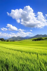 Lush green rice fields under a vibrant blue sky in the countryside at midday