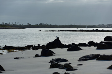 Finist&egrave;re Nord, Land&eacute;da, Bretagne - lever du soleil