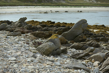 Finistère Nord, Landéda, Bretagne - formes étranges de rochers