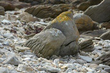 Finistère Nord, Landéda, Bretagne - formes étranges de rochers