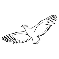 bird flying sketch illustration
