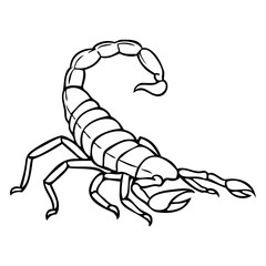 scorpion sketch illustration