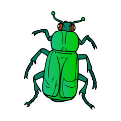 beetle vector illustration