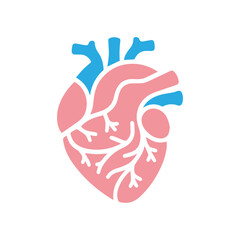 Human heart anatomicall flat style