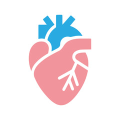 Human heart anatomicall flat style