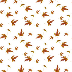 Autumn leaves. Yellow and red leaves of maple and linden. Seamless watercolor illustration in digital style. Set of beautiful leaves isolated on background. Golden Autumn and Thanksgiving