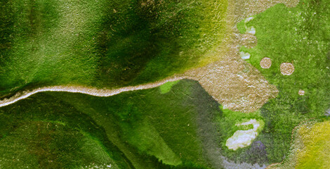 Whimsical Journey through an Enchanting Rainbow Splash on a Cute and Colorful Abstract Background