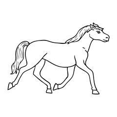 foal line vector illustration