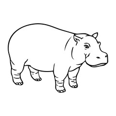 hippopotamus line vector illustration