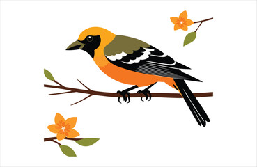Fototapeta premium Flat Oriole bird stay vector kawaii on white background