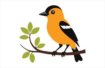 Obraz premium Flat Oriole bird stay vector kawaii on white background