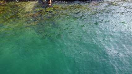 clear turquoise sea water on the shore