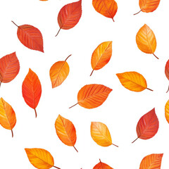 Obraz premium Seamless pattern colorful autumn leaves isolated on white background leaf texture with stems and red orange yellow fall colors art illustration wallpaper backdrop repeating pattern.