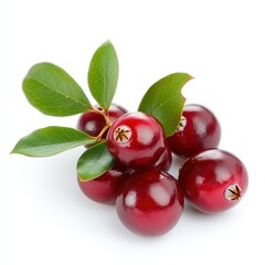 Closeup of red cranberries with green leaves isolated on white background.