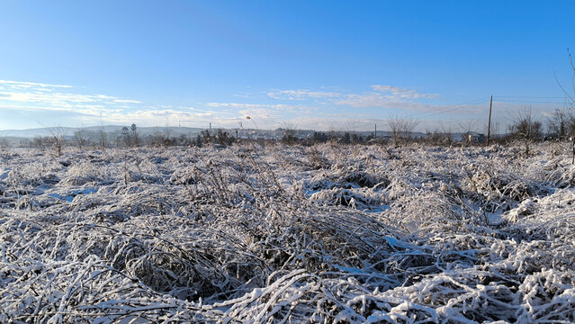 landscape in Srem, Vojvodina, in bright snowy winter day