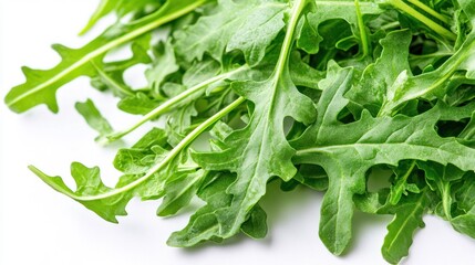 Fresh Green Arugula Leaves Closeup