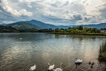 La lebede Lake - Eastern Carpathians - Romania - Europe 