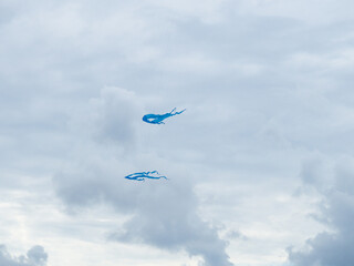  Kite Festival. Bright  kites. Weekend at sea. Holiday and fun for children. Black Sea resort.